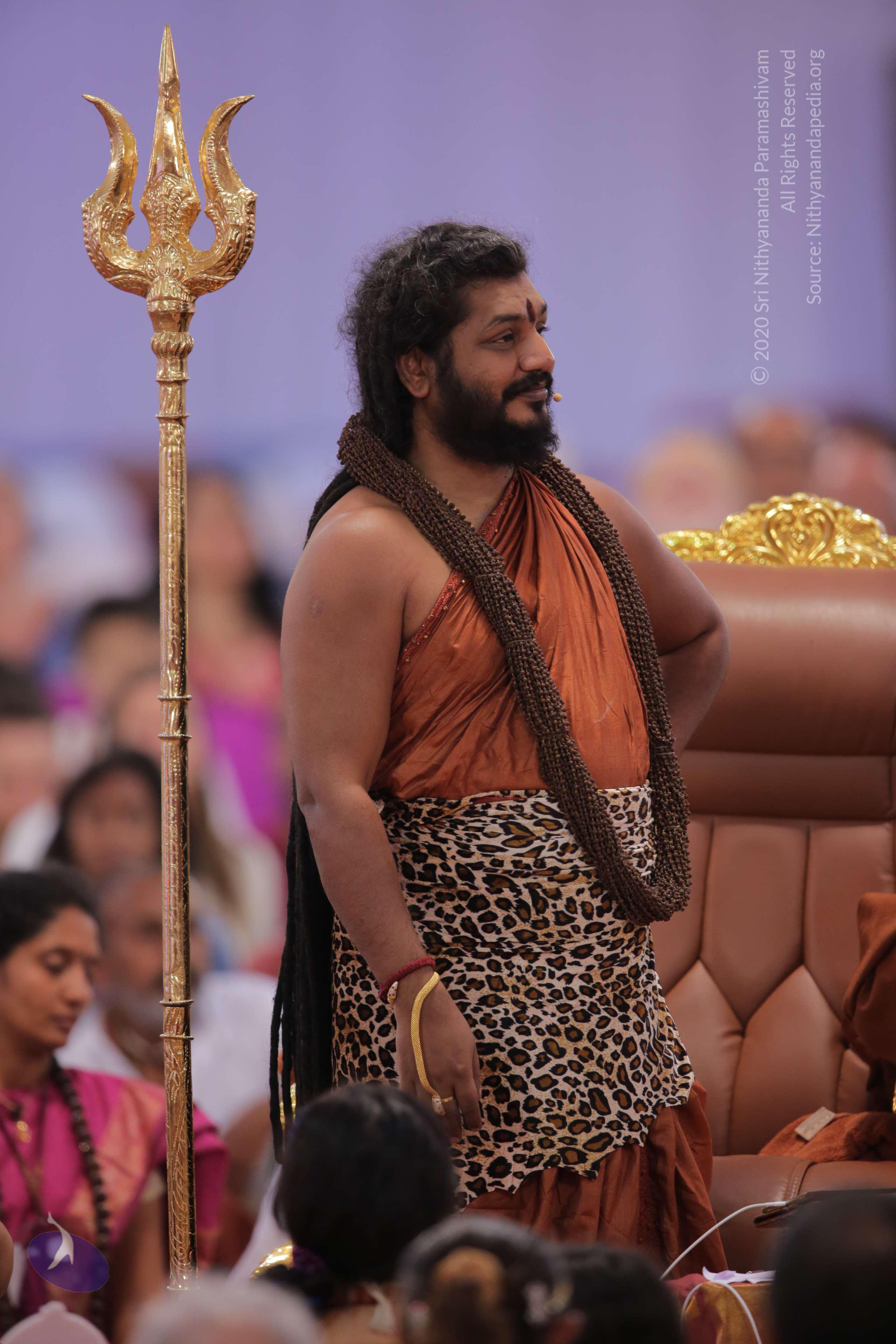 20161204_Photo_1164_G28A3795_CMP_WM